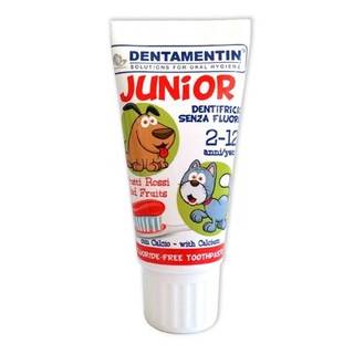 Obrázok ku produktu DENTAMENTIN Junior zubná pasta pre deti 2-12 rokov